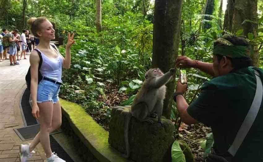 Hutan Monyet Ubud Bali - Hal yang perlu diketahui sebelum berkunjung