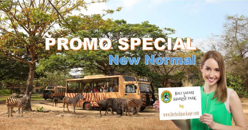 promo bali safari park