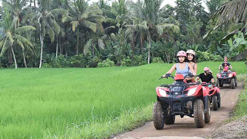 Rute Persawahan di Kuber Bali