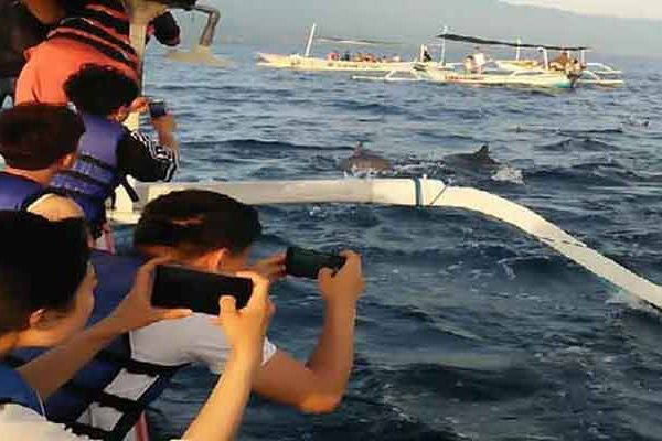 Paket Tour Murah Dolphin Lovina Bali