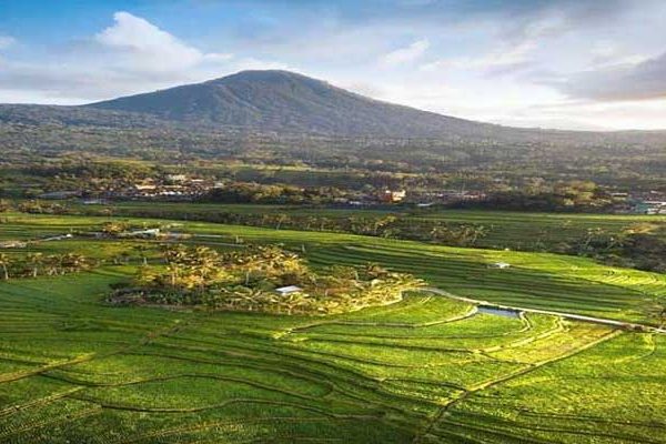 Objek Wisata Jatiluwih Bali, Lokasi, Daya Tarik dan Harga Tiket Masuk