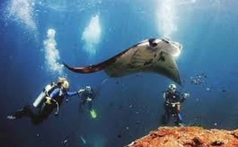 Paket Snorkeling Tour Nusa Penida