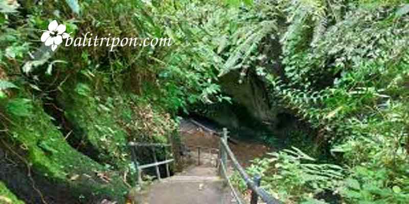Tukad Cepung Waterfall Bali – Keunikan, Lokasi dan Harga Tiket Masuk