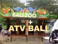 Promo Paket Tour ATV Bali dan Bali Zoo