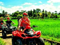 13 Tempat Sewa ATV di Bali, Paket ATV Mulai dari Rp 300K/orang