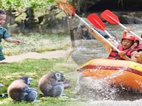 Paket Rafting Bali dan Bali Zoo