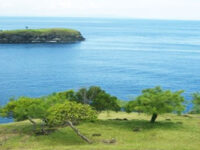 Bukit Asah Karangasem: Panorama Laut & Spot Camping Eksotis