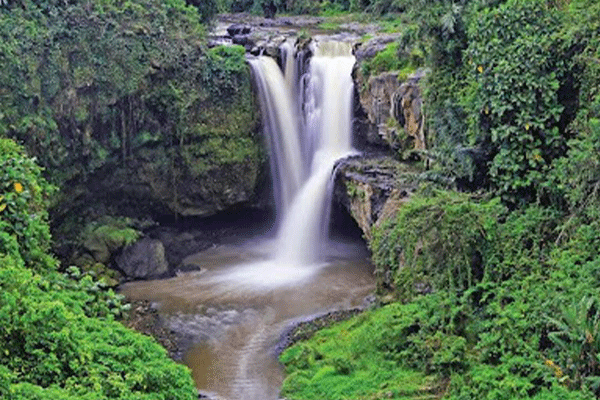Daya Tarik Air Terjun Tegenungan: Keindahan Alam di Jantung Bali