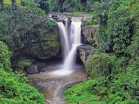 Daya Tarik Air Terjun Tegenungan: Keindahan Alam di Jantung Bali