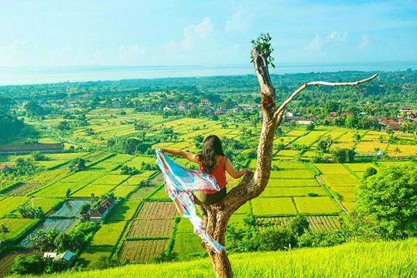 Bukit Belong: Spot Instagramable dengan Panorama Sawah dan Laut di Klungkung