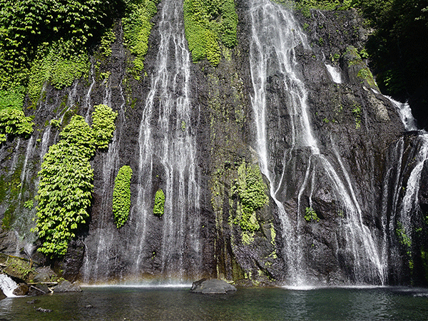 Air Terjun Banyumala: Permata Tersembunyi di Tengah Hutan Bali Utara