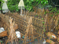 Desa Trunyan: Misteri Keindahan dan Tradisi Unik di Tepi Danau Batur